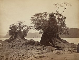 Lemon Bay