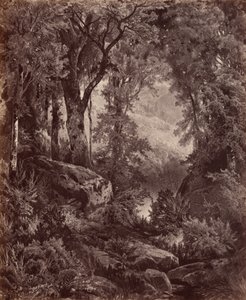 Yalnızlık,1865 (fotoğraf) by John Moran