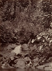 Tropikal Manzara, Çağlayan, Limon Nehri, 1871.