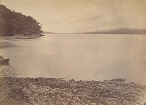Tropikal Manzara, Darien Limanı - Güneye Bakış, 1871. by John Moran