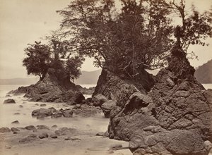 Tropikal Manzara, Limon Koyu - Alçak Gelgit, 1871.