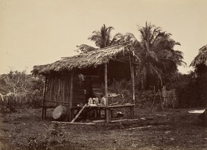 Tropikal Manzara, Yerli Kulübe, Turbo, 1871. by John Moran