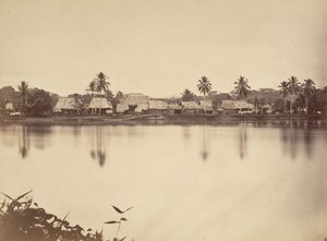 Tropikal Manzara, Santa Maria del Real, Darien, 1871.