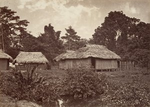 Tropikal Manzara, Turbo Köyü, 1871.