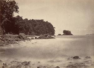 Tropik Manzara, Limon Körfezi Manzarası, 1871.