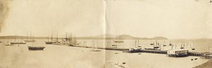Auckland Limanı, 1865 (albüm baskısı) by John Nicol Crombie