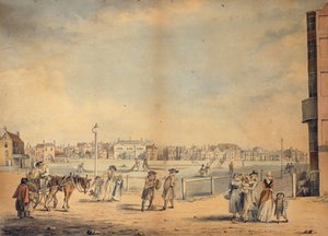 Brighton, Bayan Widgett