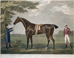 Yarış Atı Elması, c.1799