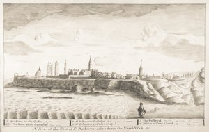 St Andrews Tanımlanmış - Kuzey Batı