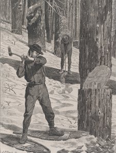 Kışın Kerestecilik Her Cumartesi, Cilt. II, Yeni Seri, 28 Ocak 1871.