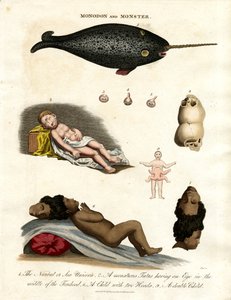 Narwhal ve Malformasyonlar by John Pass