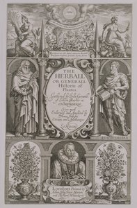 John Gerard (1564-1612) 1633 tarafından yazılan The Herball