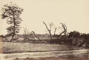 Extreme Line of Confederate Works, Cold Harbor., Nisan 1865 (dokuma kağıda monte edilmiş albüm baskısı)