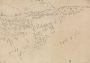 Innsbruck ve Schoenberg arasında by John Robert Cozens