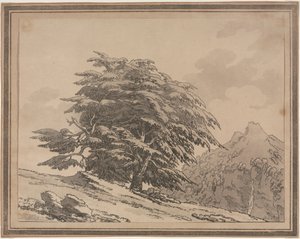 Orman Ağaçlarının Genel Karakter Dalları ve Yapraklarının Tanımlanması: Cedar, 1789. by John Robert Cozens