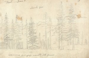  by John Robert Cozens