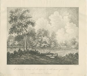 Lichfield Katedrali - Batı Güney Batı görünümü (uzaktan): karakalem by John Robert Fernyhough