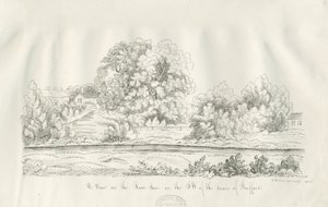 Stafford - Nehir Sow: kalem ve mürekkeple çizim by John Robert Fernyhough