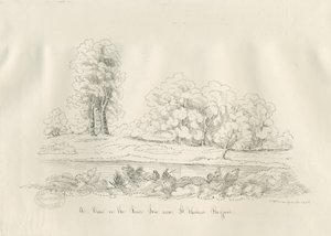 Stafford - Nehir Sow: kalem ve mürekkeple çizim by John Robert Fernyhough