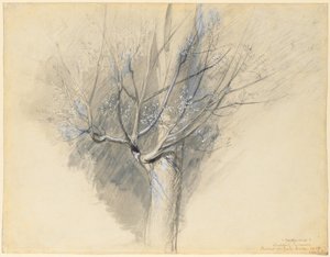  by John Ruskin