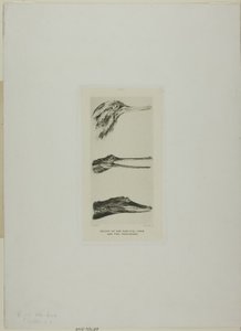  by John Ruskin