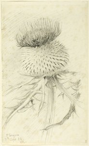 Aziz Cergues by John Ruskin