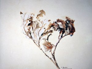 Meşe Yaprakları Çalışması by John Ruskin