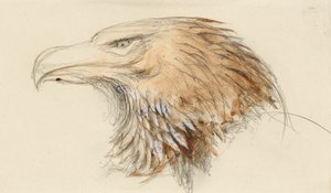 Ortak bir Altın Kartal Başkanı, Life