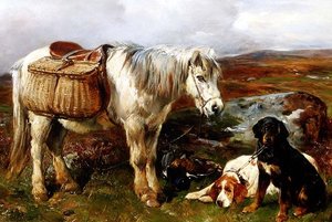 Köpekli Yayla Midillisi