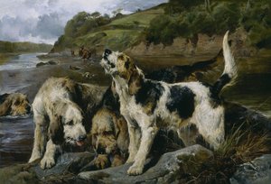 Otter Avı veya Kokusu, 1881