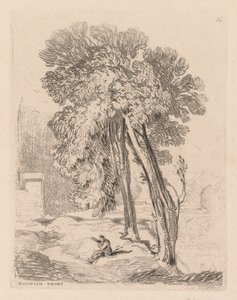 Çalışma Kitabı: Levha 18, Norwich Thorp, Norfolk'taki Ağaçlar by John Sell Cotman