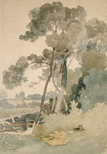 Brandsby yakınlarında, Yorkshire, 1865 by John Sell Cotman