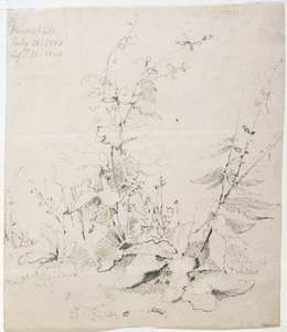 Yabani Otların Çalışması, Kirkstall by John Sell Cotman