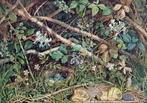 Brambles, Hanımeli ve Çalılıklar Arasında Bir Kuş Yuvası, 1858