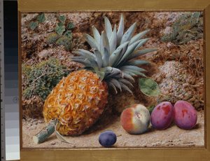 Yosunlu Bir Bankada Bir Ananas, Bir Şeftali ve Erik