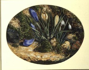 Çiğdemler ve Kardelenler