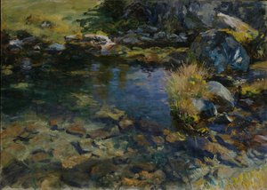 Alp Havuzu, 1907 by John Singer Sargent