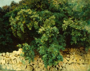 Ilex Wood, Mayorka by John Singer Sargent