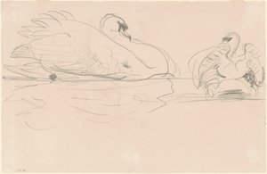 Sudaki Kuğular by John Singer Sargent