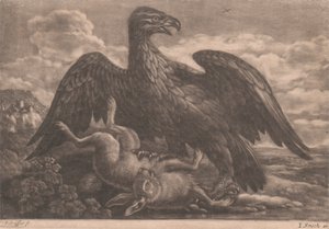 kartal ve tavşan by John Smith