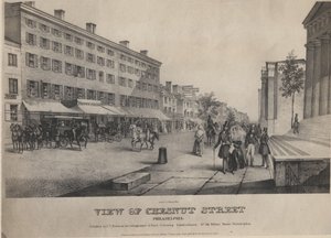 Chestnut Caddesi