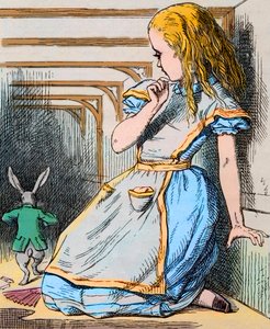 Alice ve Beyaz Tavşan. Lewis Carroll