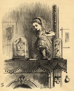 Alice Aynadan Evde, Lewis Carroll