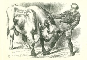 (İrlandalı) Boğayı Boynuzlarından Almak: Tasarı 15 Şubat 1870