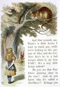 Chesire kedisi by John Tenniel