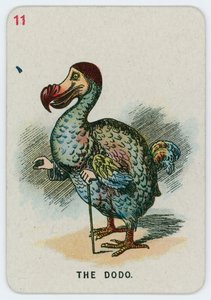Dodo by John Tenniel