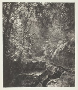  by John Thomson