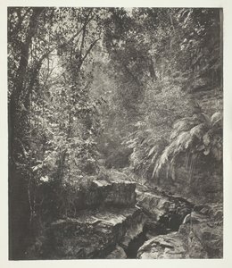 Formosa