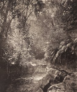  by John Thomson