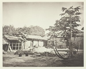  by John Thomson
